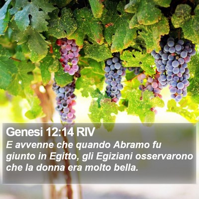 Genesi 12:14 RIV Bible Verse Image