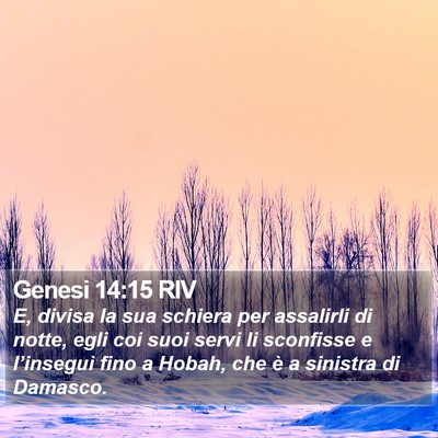 Genesi 14:15 RIV Bible Verse Image