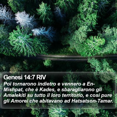 Genesi 14:7 RIV Bible Verse Image