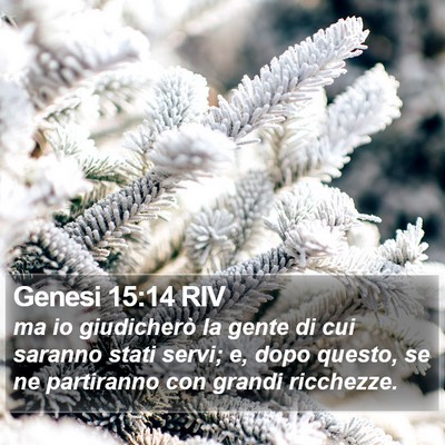 Genesi 15:14 RIV Bible Verse Image