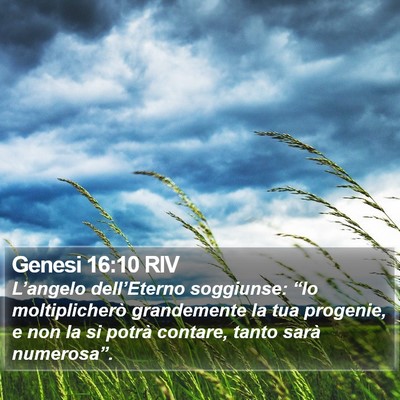 Genesi 16:10 RIV Bible Verse Image