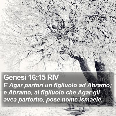Genesi 16:15 RIV Bible Verse Image