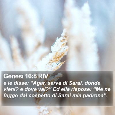 Genesi 16:8 RIV Bible Verse Image