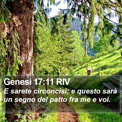 Genesi 17:11 RIV Bible Verse Image