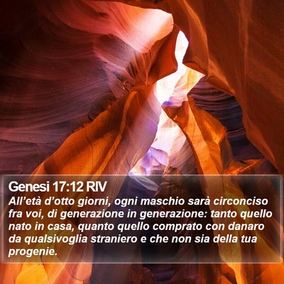 Genesi 17:12 RIV Bible Verse Image