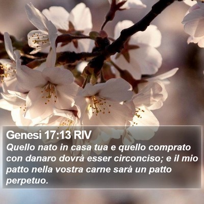 Genesi 17:13 RIV Bible Verse Image