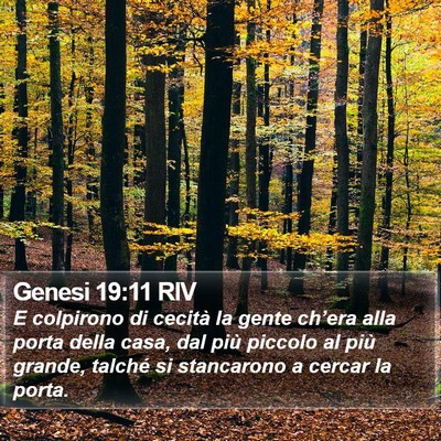 Genesi 19:11 RIV Bible Verse Image