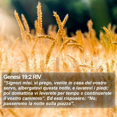 Genesi 19:2 RIV Bible Verse Image