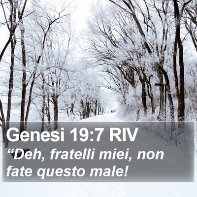 Genesi 19:7 RIV Bible Verse Image