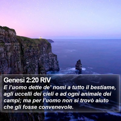 Genesi 2:20 RIV Bible Verse Image