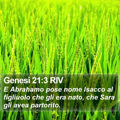 Genesi 21:3 RIV Bible Verse Image