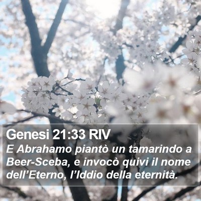 Genesi 21:33 RIV Bible Verse Image