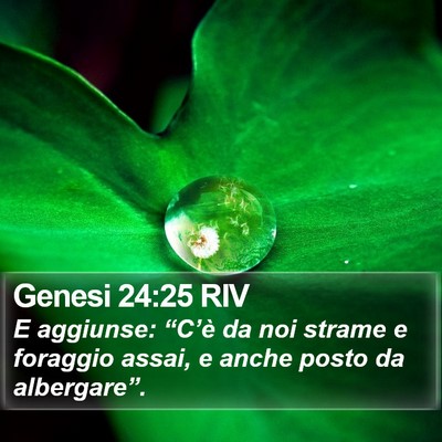 Genesi 24:25 RIV Bible Verse Image
