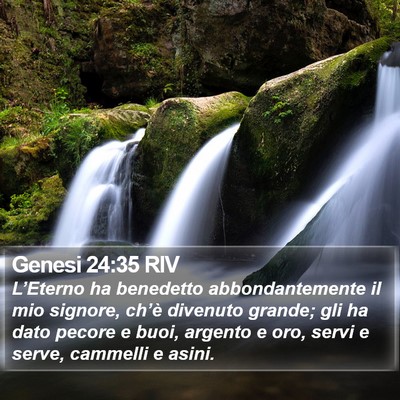 Genesi 24:35 RIV Bible Verse Image