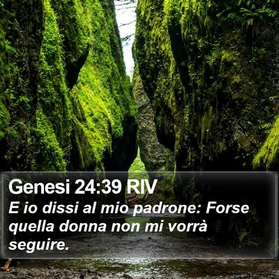 Genesi 24:39 RIV Bible Verse Image