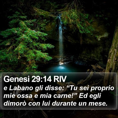 Genesi 29:14 RIV Bible Verse Image
