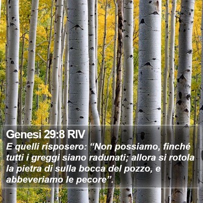 Genesi 29:8 RIV Bible Verse Image