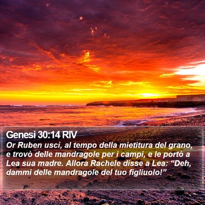 Genesi 30:14 RIV Bible Verse Image