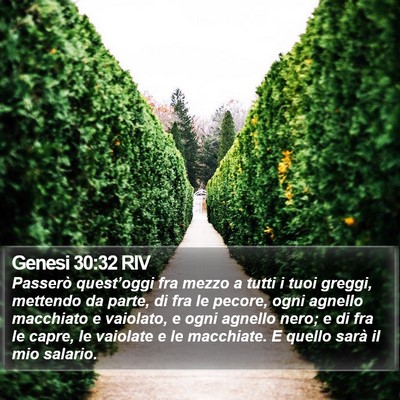 Genesi 30:32 RIV Bible Verse Image