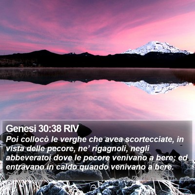 Genesi 30:38 RIV Bible Verse Image