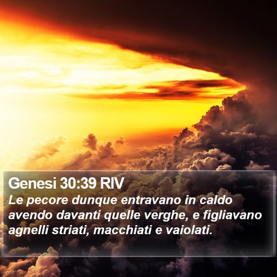 Genesi 30:39 RIV Bible Verse Image
