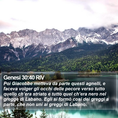 Genesi 30:40 RIV Bible Verse Image