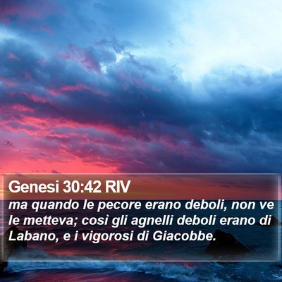 Genesi 30:42 RIV Bible Verse Image