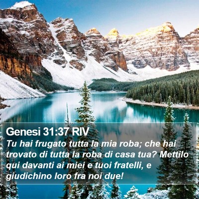 Genesi 31:37 RIV Bible Verse Image