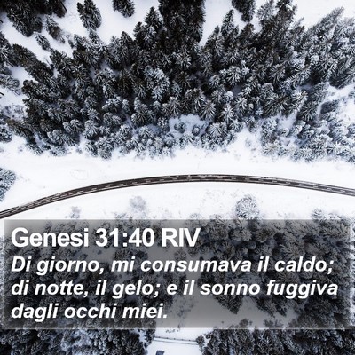 Genesi 31:40 RIV Bible Verse Image