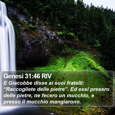 Genesi 31:46 RIV Bible Verse Image