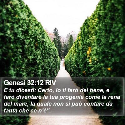 Genesi 32:12 RIV Bible Verse Image