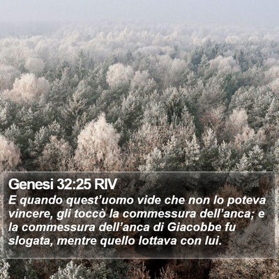 Genesi 32:25 RIV Bible Verse Image