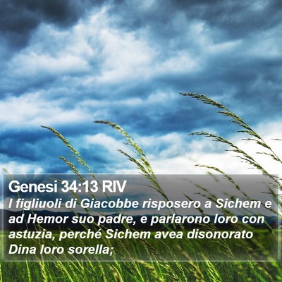 Genesi 34:13 RIV Bible Verse Image