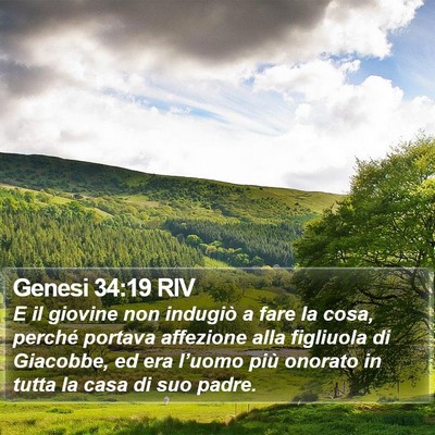 Genesi 34:19 RIV Bible Verse Image