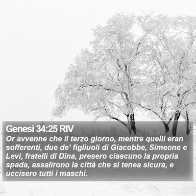 Genesi 34:25 RIV Bible Verse Image