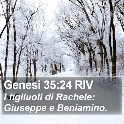 Genesi 35:24 RIV Bible Verse Image