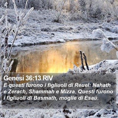 Genesi 36:13 RIV Bible Verse Image
