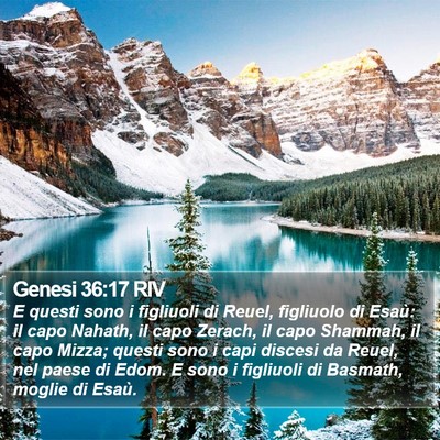Genesi 36:17 RIV Bible Verse Image