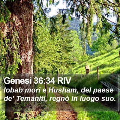 Genesi 36:34 RIV Bible Verse Image
