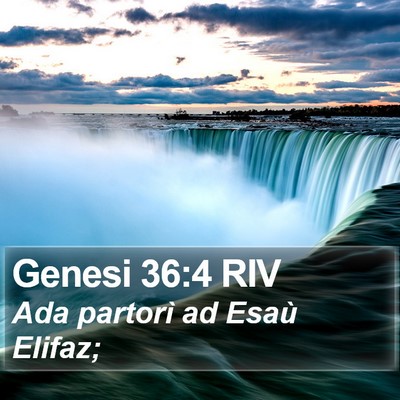 Genesi 36:4 RIV Bible Verse Image