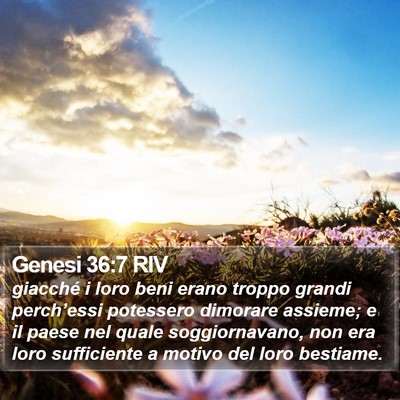 Genesi 36:7 RIV Bible Verse Image
