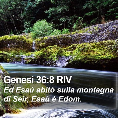 Genesi 36:8 RIV Bible Verse Image