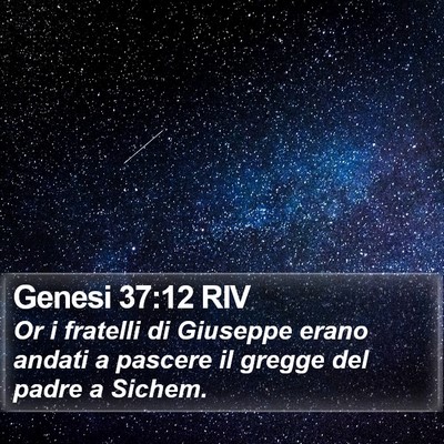 Genesi 37:12 RIV Bible Verse Image