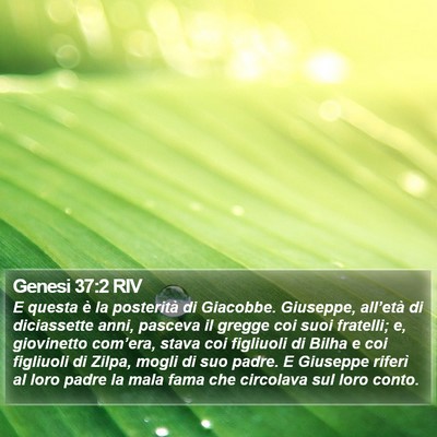 Genesi 37:2 RIV Bible Verse Image