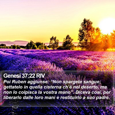 Genesi 37:22 RIV Bible Verse Image