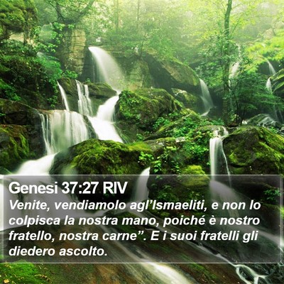 Genesi 37:27 RIV Bible Verse Image