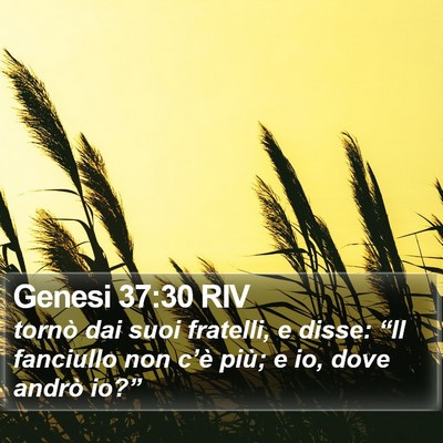 Genesi 37:30 RIV Bible Verse Image