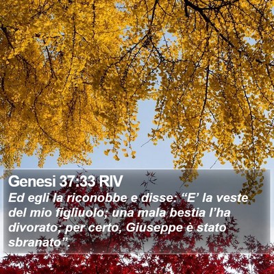 Genesi 37:33 RIV Bible Verse Image