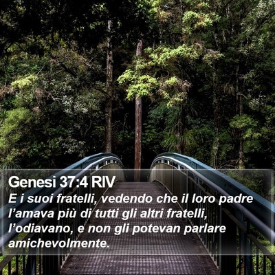 Genesi 37:4 RIV Bible Verse Image