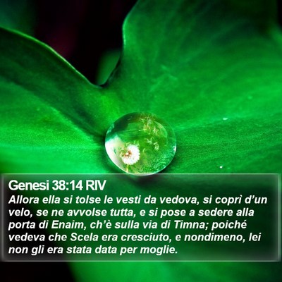 Genesi 38:14 RIV Bible Verse Image